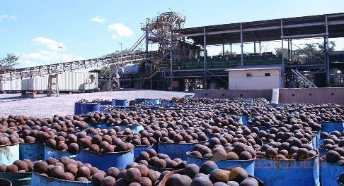 Le PETIT PRIX a moulé et a forgé les billes d'acier de meulage pour le mien