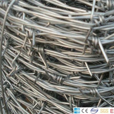 2 strand Galvanized Iron Wire