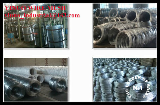 Galvanized Iron Wire