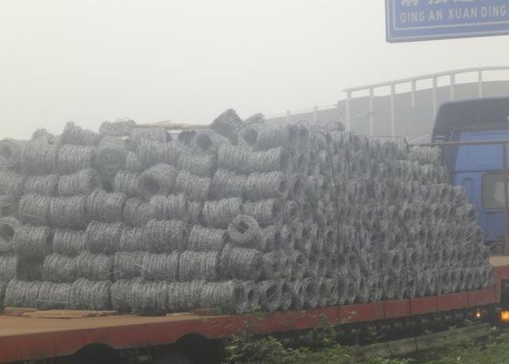 2 strand Galvanized Iron Wire