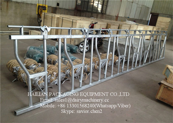 Cattle crush Head Lock Farm Equipment Hot-galvanized Steel Pipe