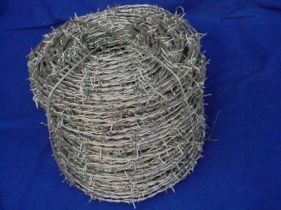 Low Carbon Hot Dipped Electro-Galvanized Iron Wire Double Strand Barbed Wire