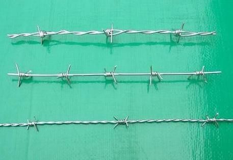 Low Carbon Hot Dipped Electro-Galvanized Iron Wire Double Strand Barbed Wire