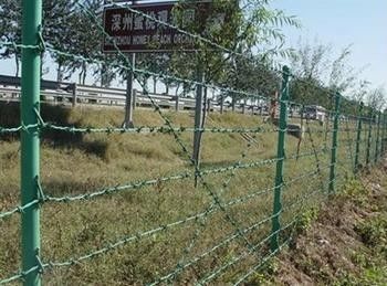 Green / Grey PVC Plated Barbed Wire PVC Coated Galvanized Iron Wire